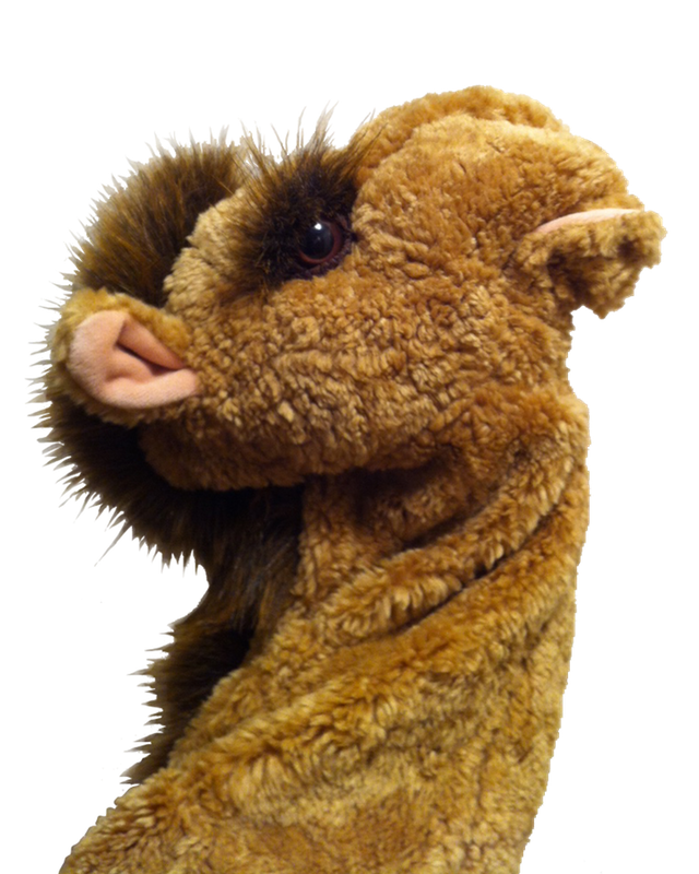 Word Camel